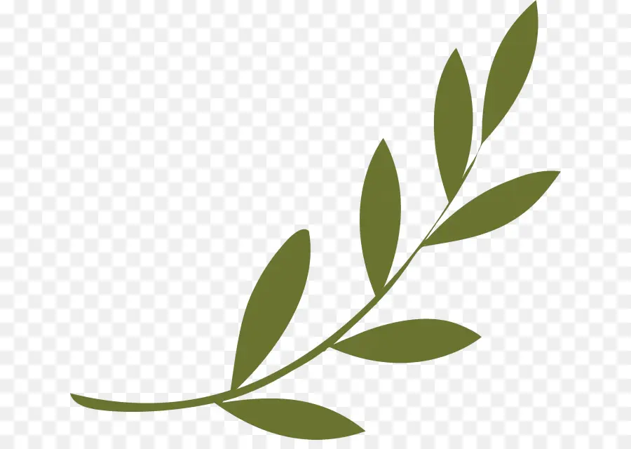 Olive Branch，Símbolos De Paz PNG