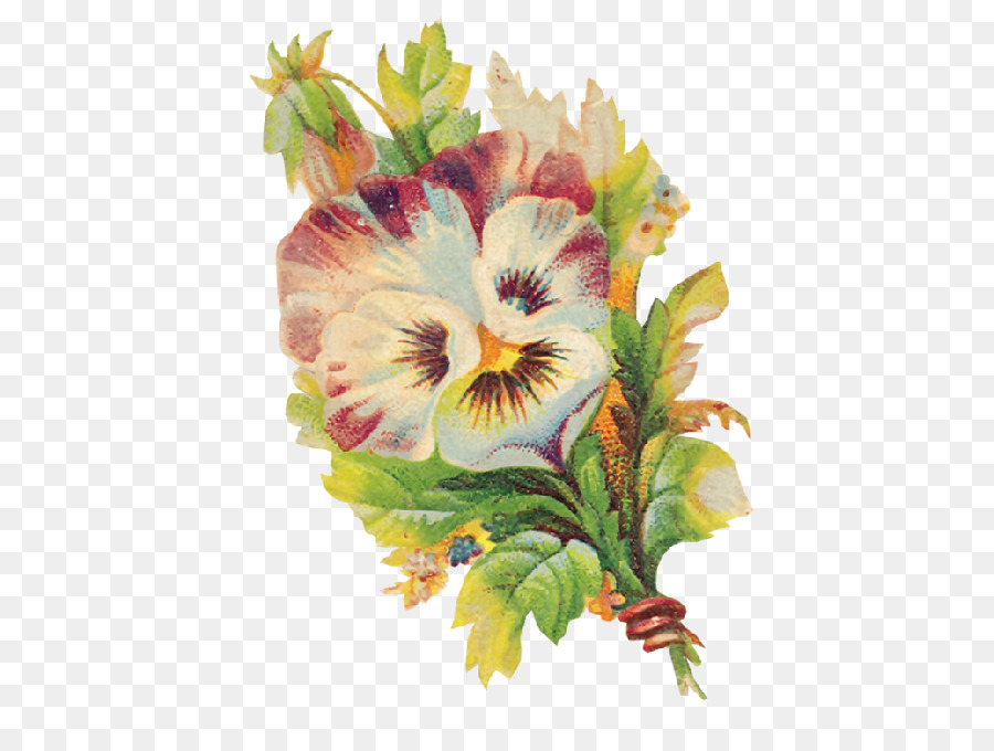 Pansy，Pintura Em Aquarela PNG