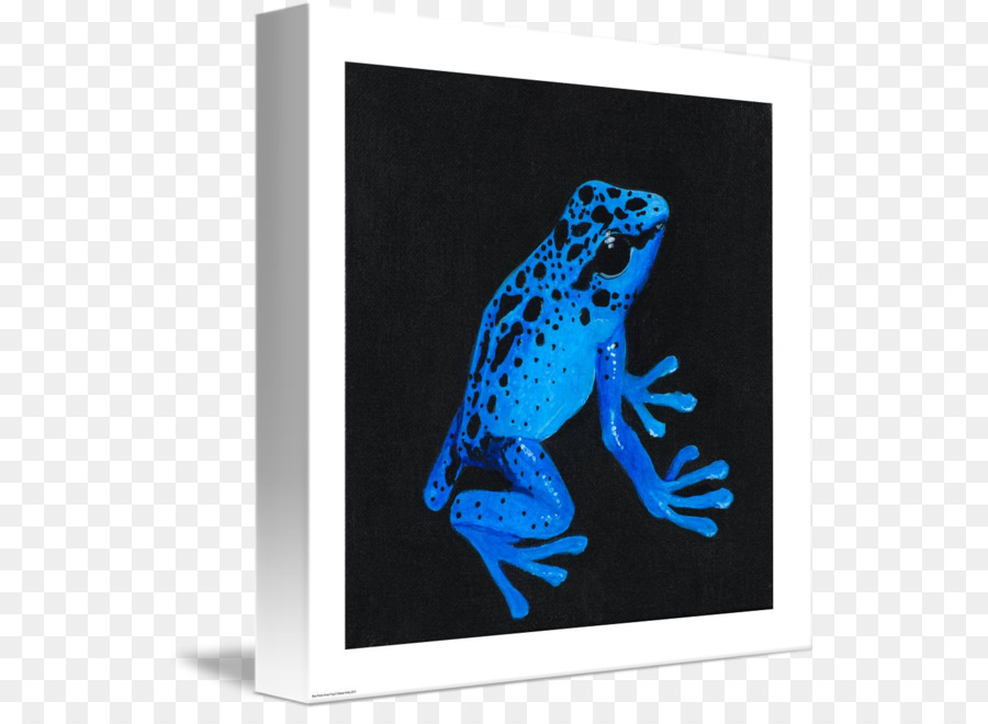 Tree Frog，Sapo PNG