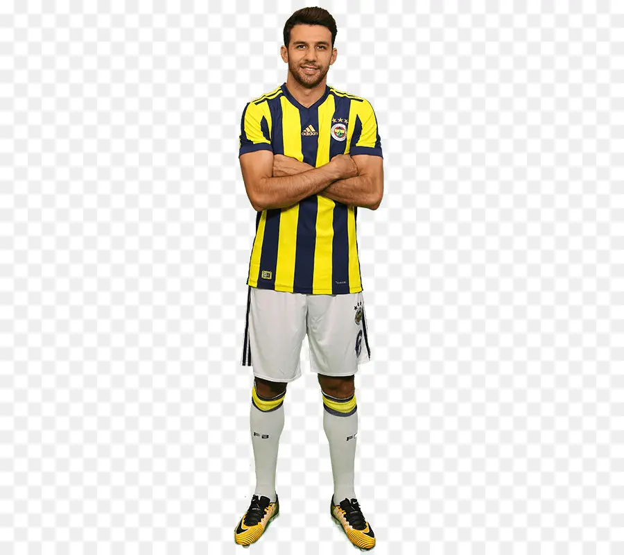 Ismail Köybaşı，Fenerbahçe Sk PNG