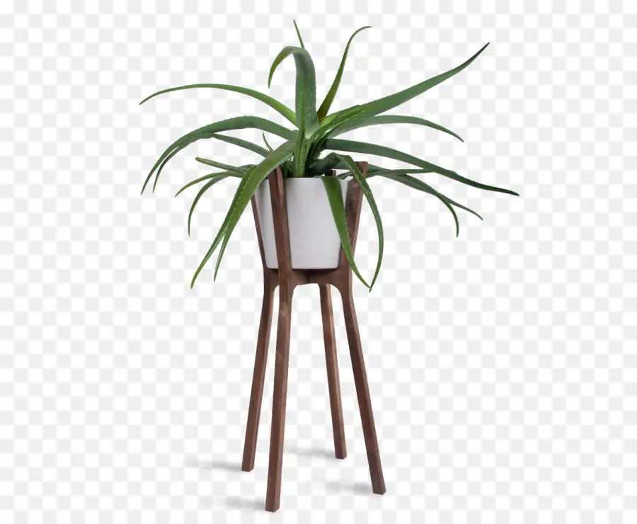 Suporte Para Plantas，De Madeira PNG