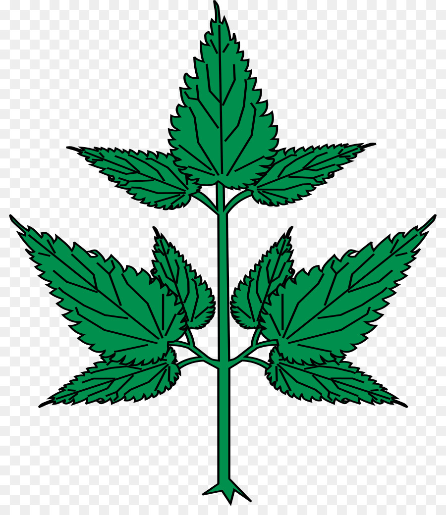 Folha De Maconha，Maconha PNG