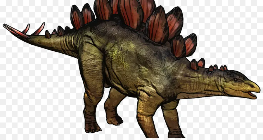 Tiranossauro，Stegosaurus PNG