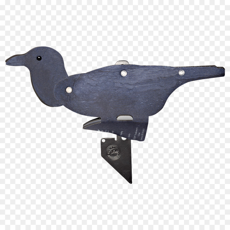 Bico，Aves PNG