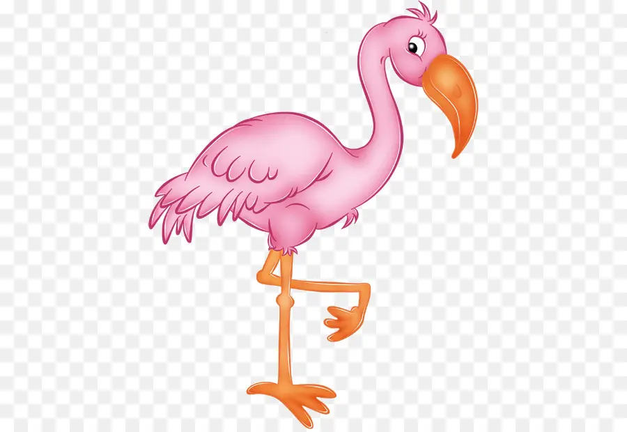 Flamingo，Desenho PNG