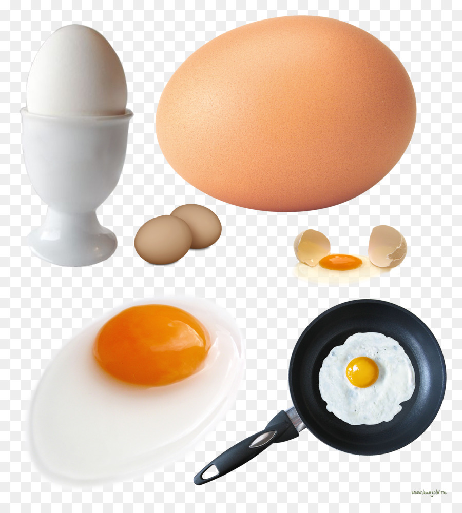Ovo Frito，Omelete PNG