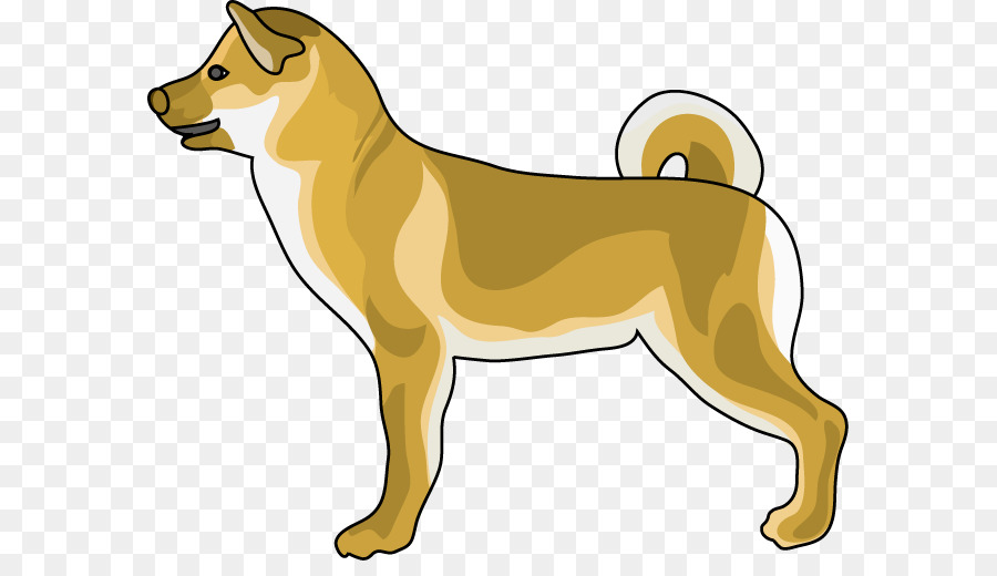 Raça Do Cão，Shikoku PNG