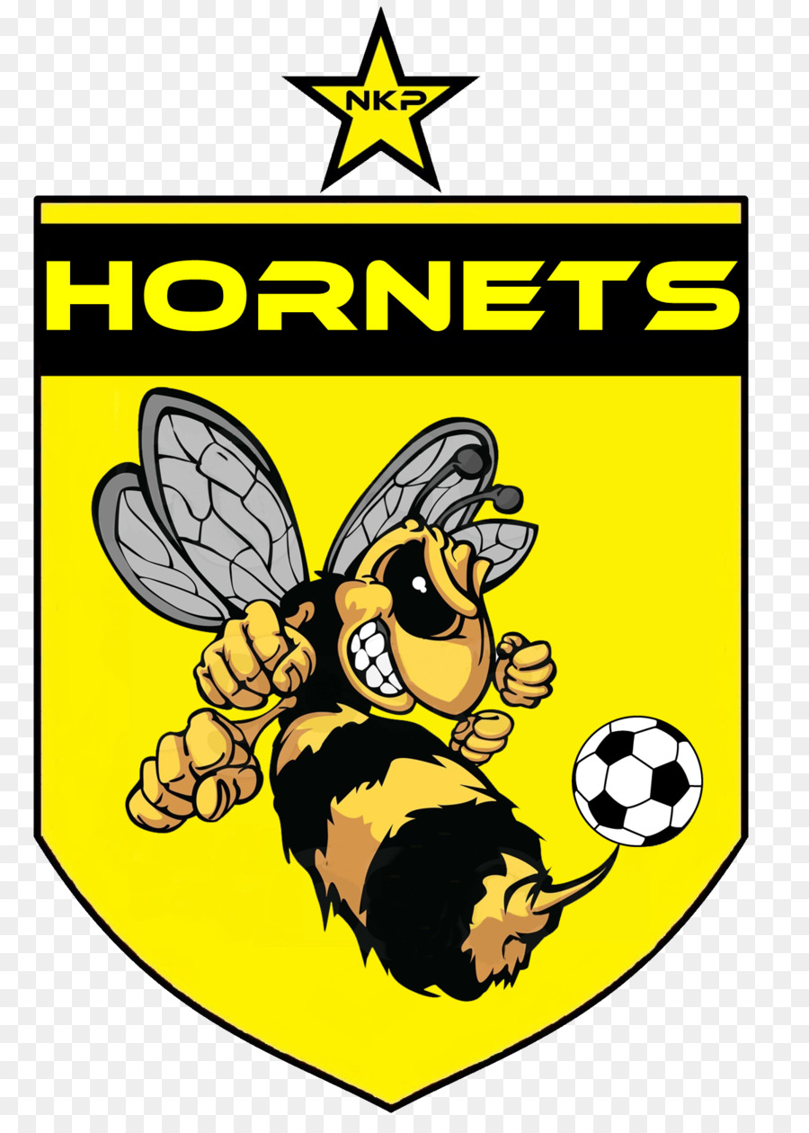 Logotipo Do Hornets，Equipe PNG