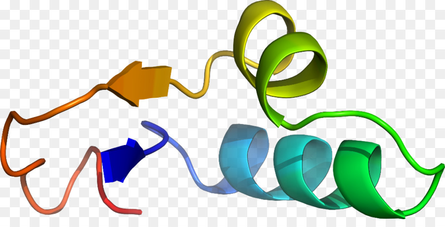 Hélice De Proteína，Molécula PNG