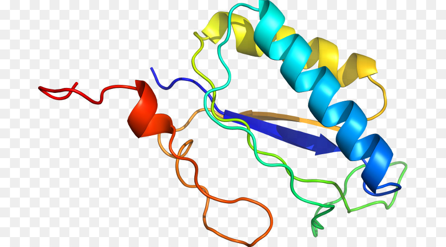 Hélice De Proteína，Molécula PNG