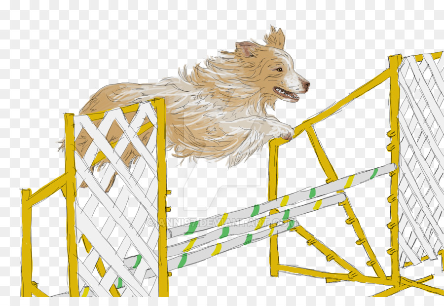 Cão，Focinho PNG