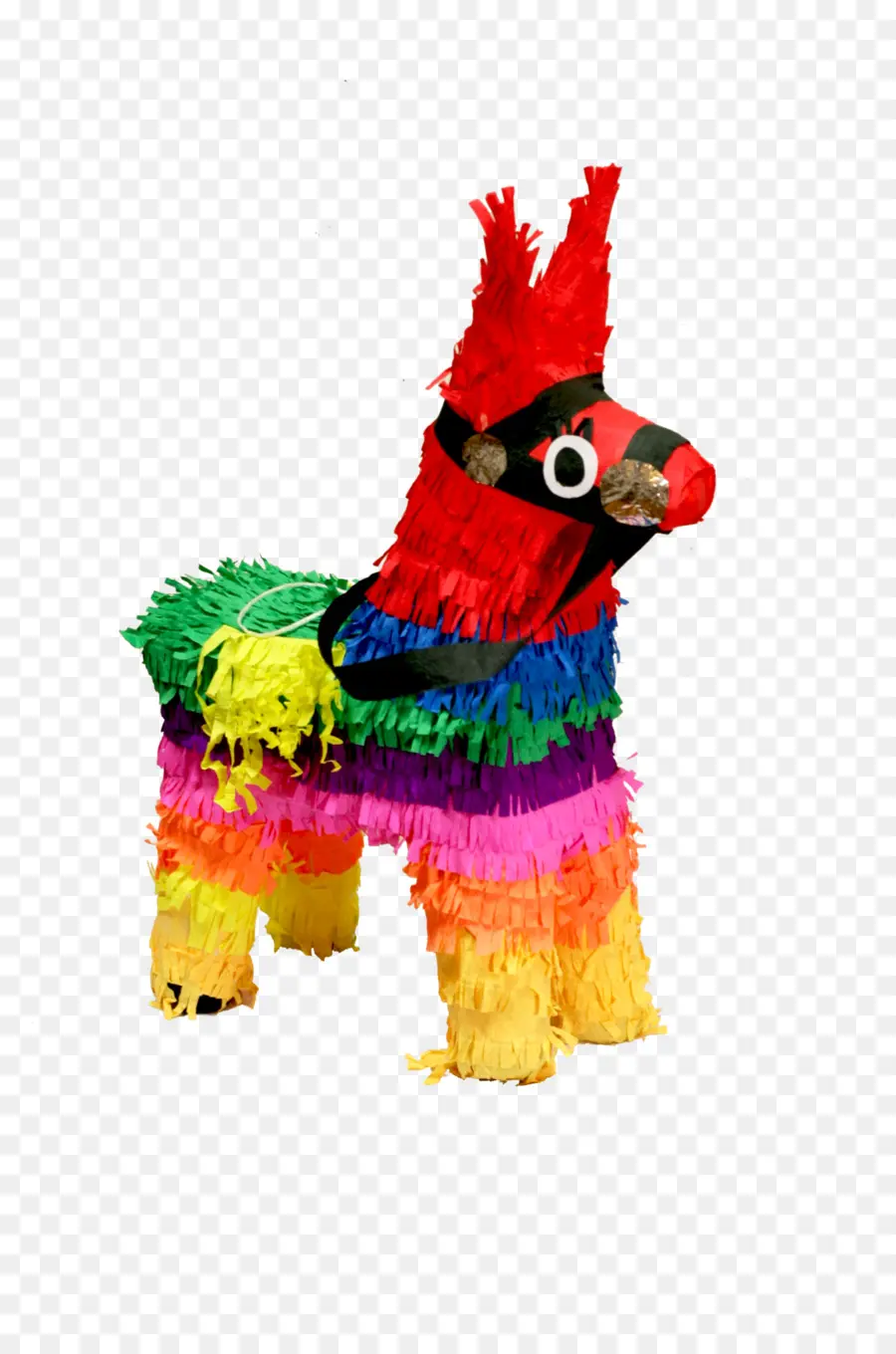 Pinata De Burro，Colorido PNG