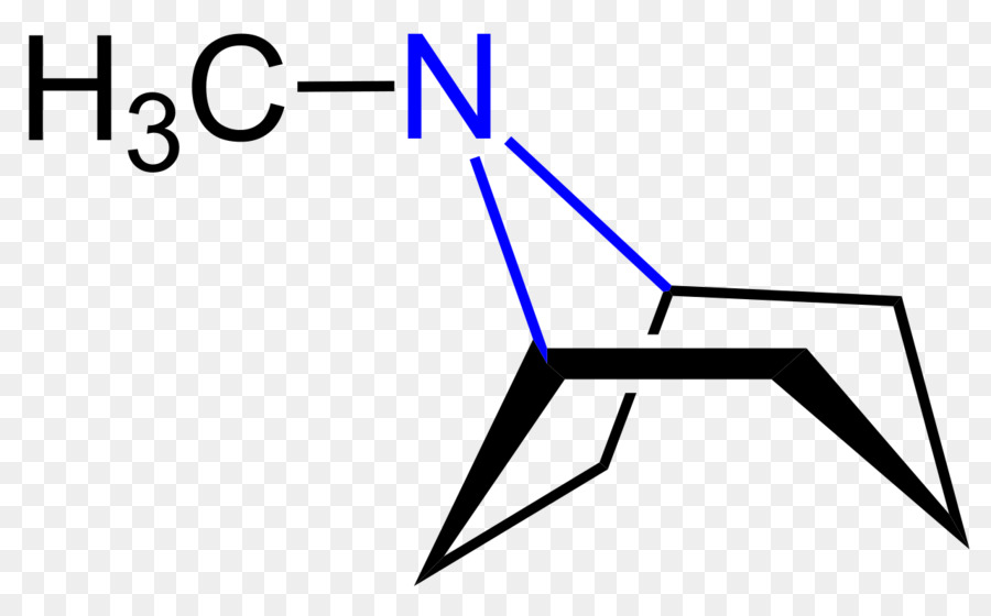 A Cocaína，Química PNG