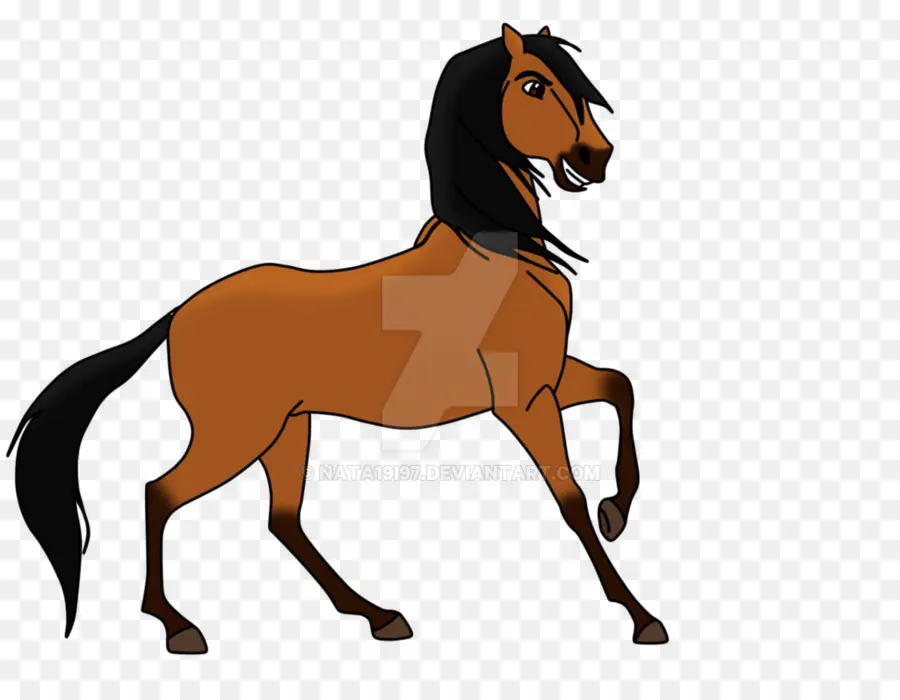 Cavalo Marrom，Equino PNG