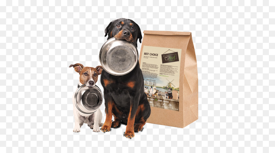 Cães Com Tigelas De Comida，Comida De Cachorro PNG