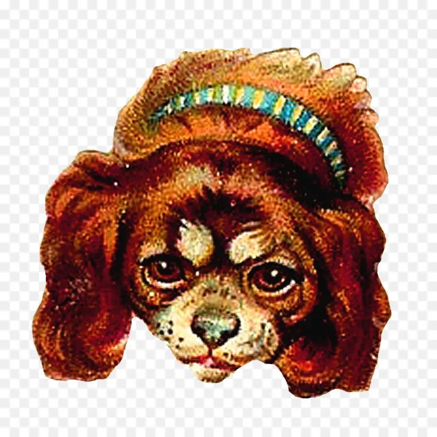 Cachorro Marrom，Bonitinho PNG