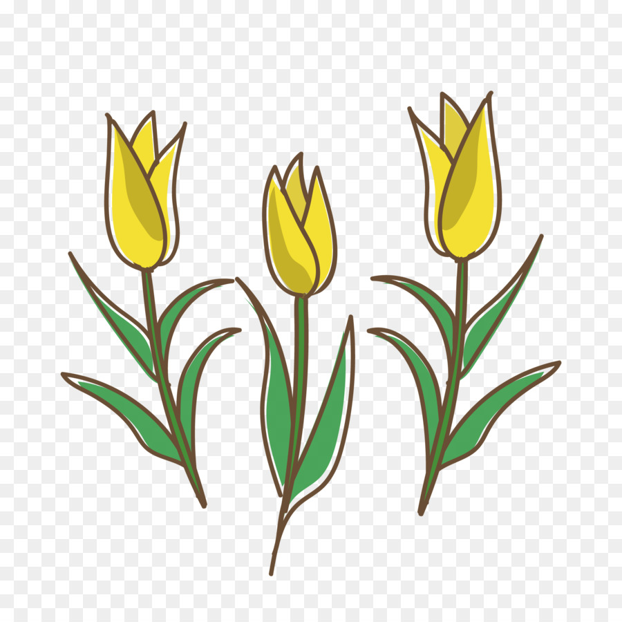 Tulip，Amarelo PNG