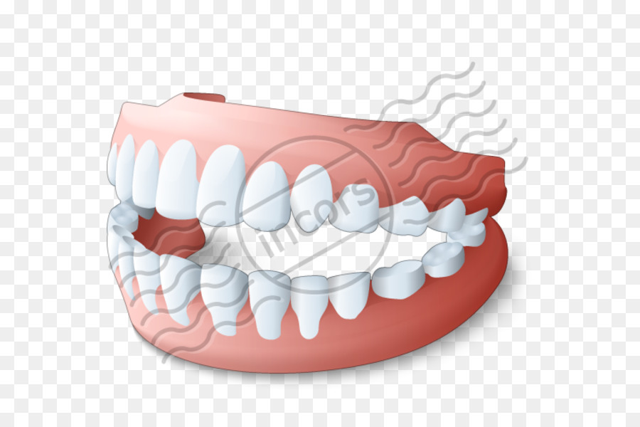 Retentor Dentário，Dentes PNG