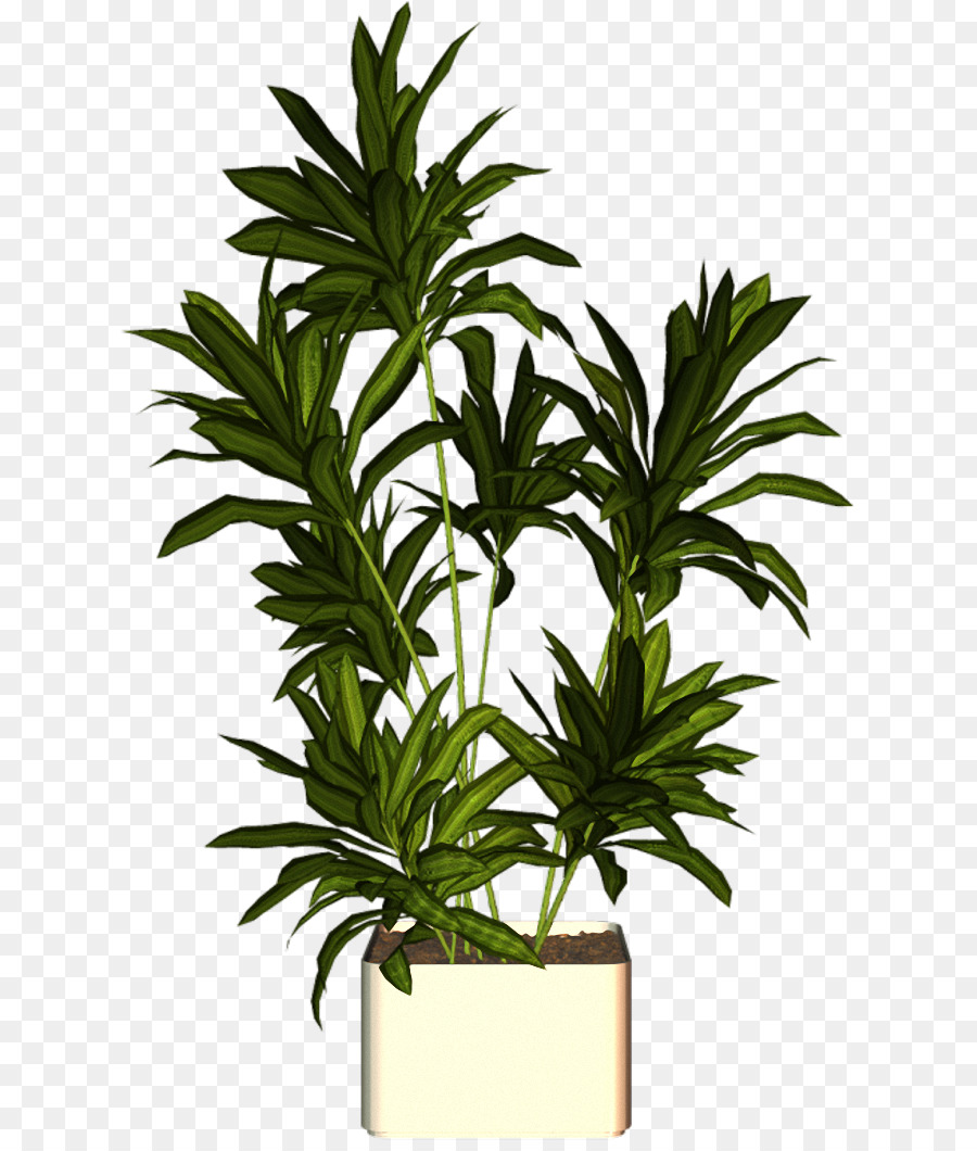 Planta Em Vaso，Interior PNG