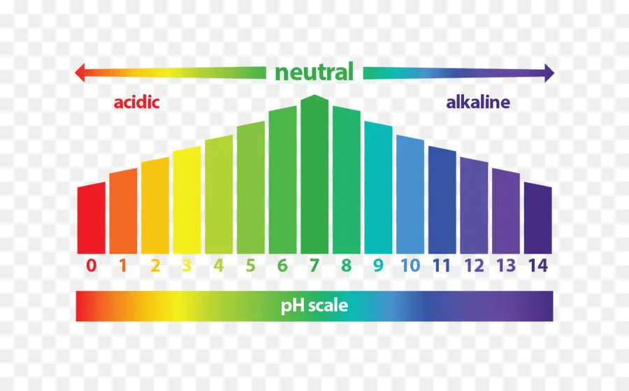 Escala De Ph，Ácido PNG