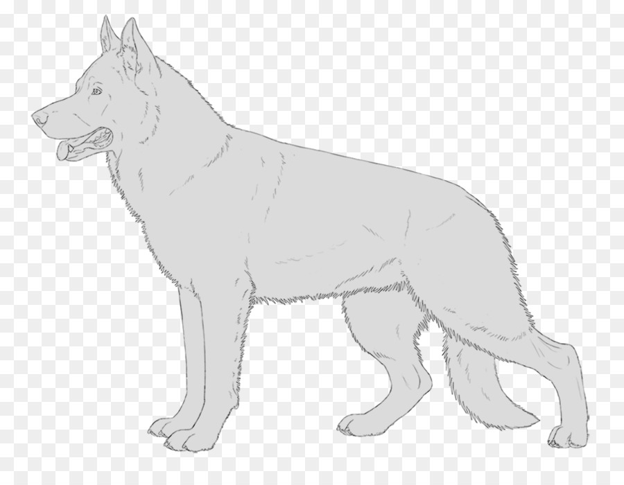Saarloos Wolfdog，Raça Do Cão PNG