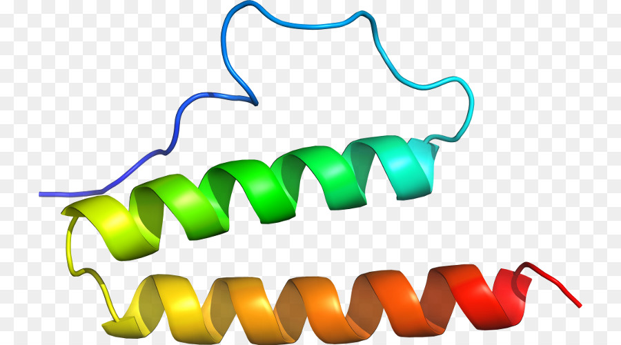 Estrutura Proteica，Biologia PNG