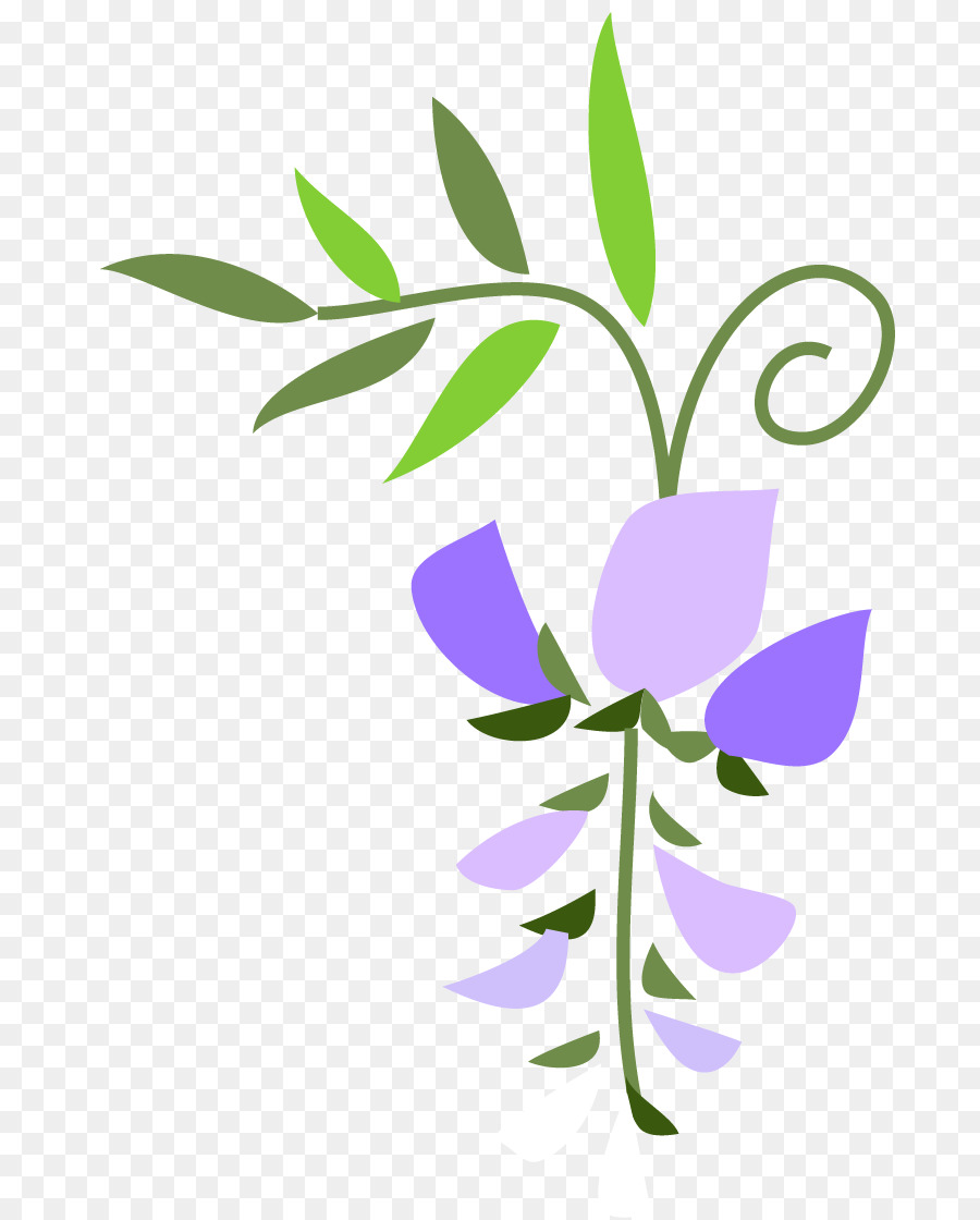 Design Floral，Folha PNG