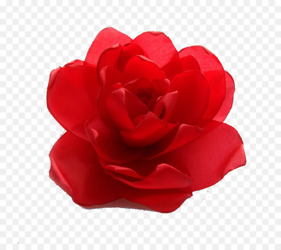 Flor Vermelha，Florescer PNG