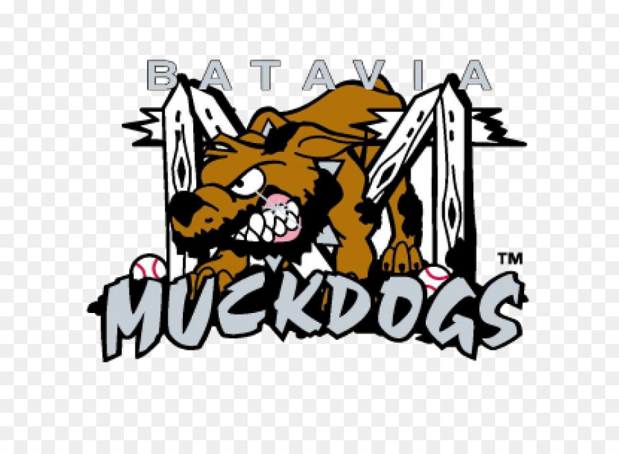 Batavia Muckdogs，Miami Marlins PNG