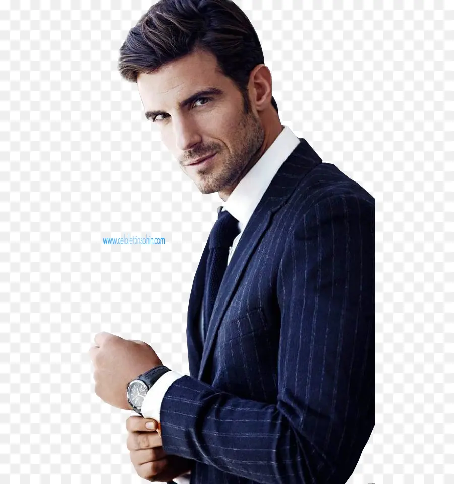 Homem De Terno，Formal PNG