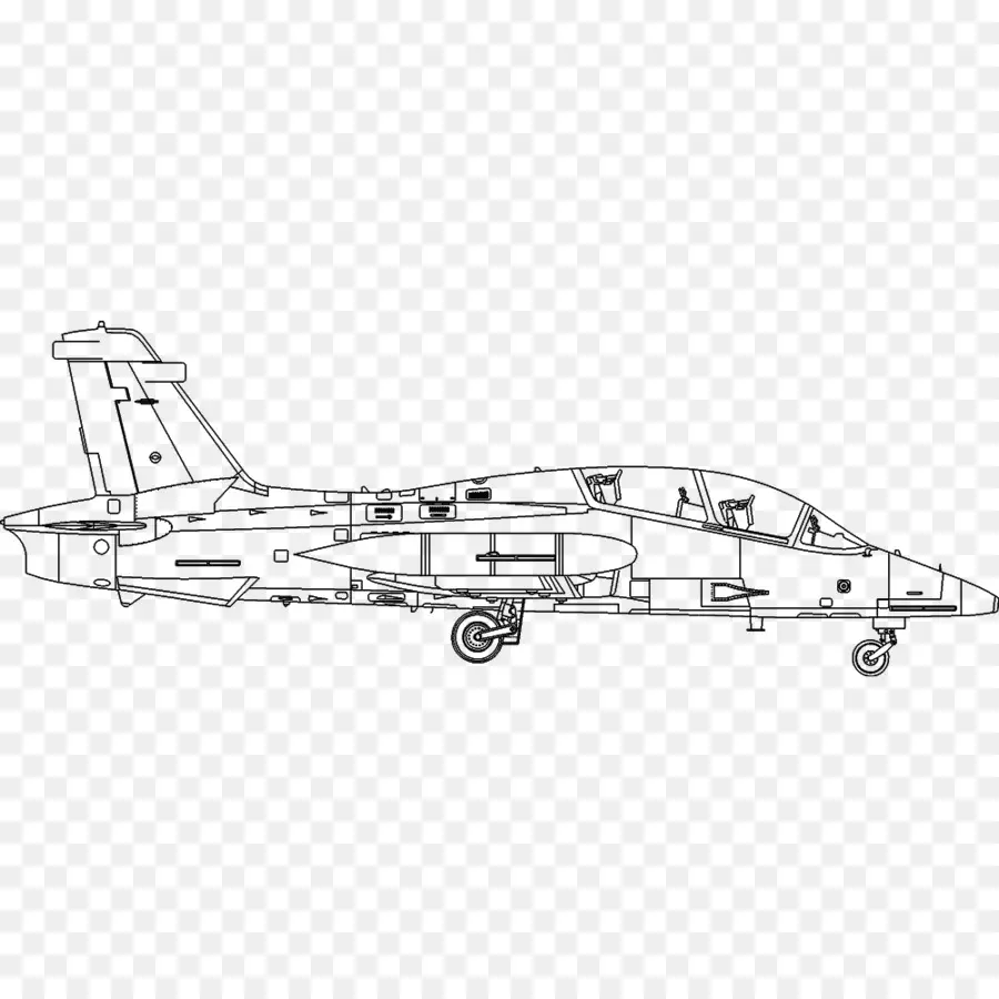 Grumman F14 Tomcat，Avião PNG