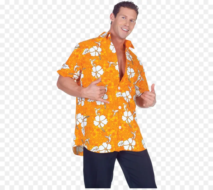 Aloha Shirt，Havaí PNG