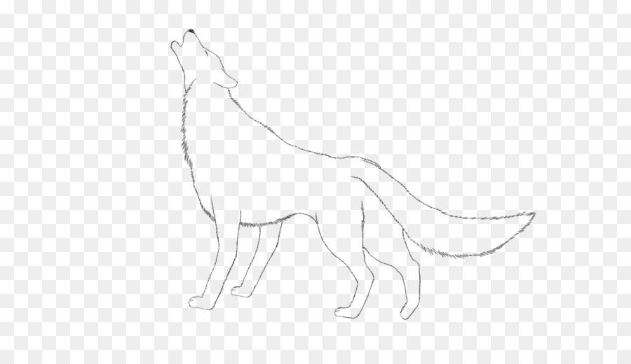 Canidae，Gato PNG
