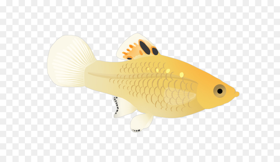 Peixe，Mar PNG