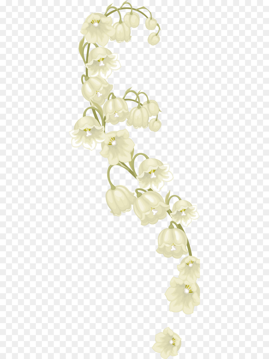 Flores，Branco PNG