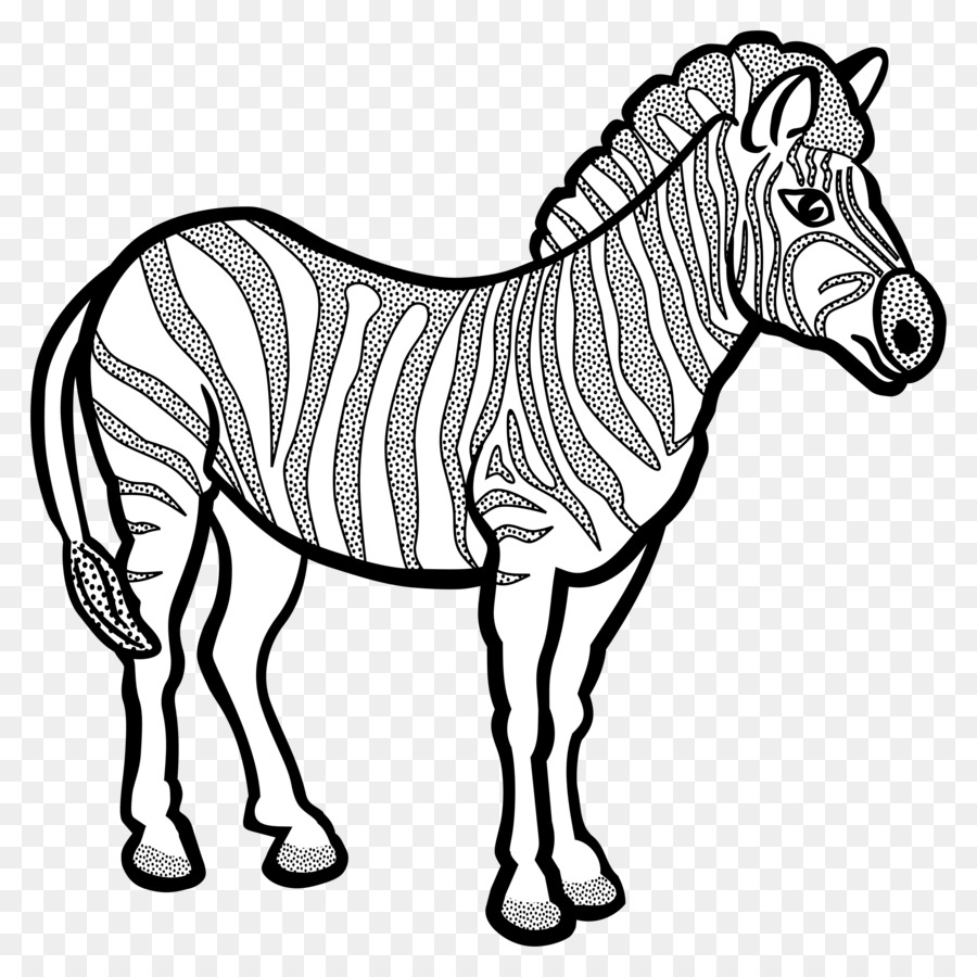Desenho de Cavalo Stock australiano para colorir