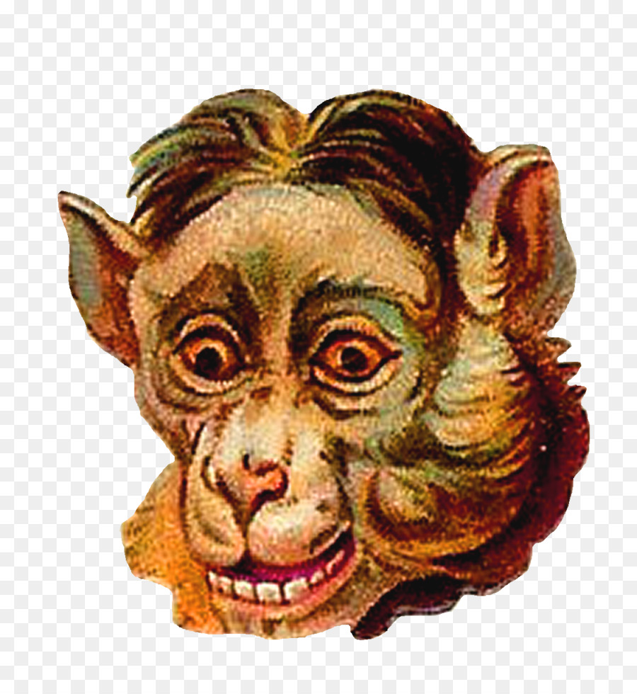 Royaltyfree，Macaco PNG