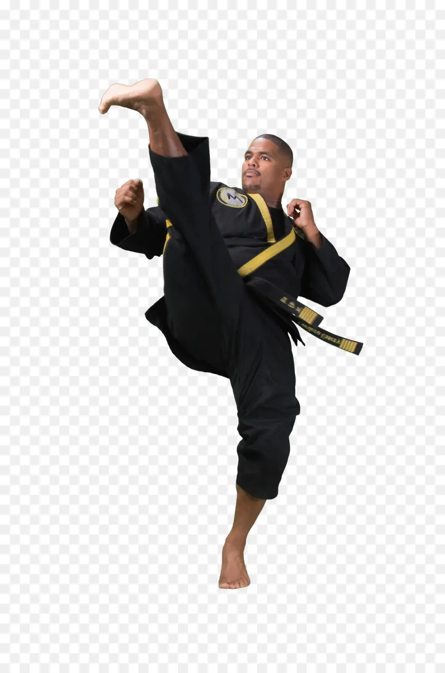 Artista Marcial，Artes Marciais PNG