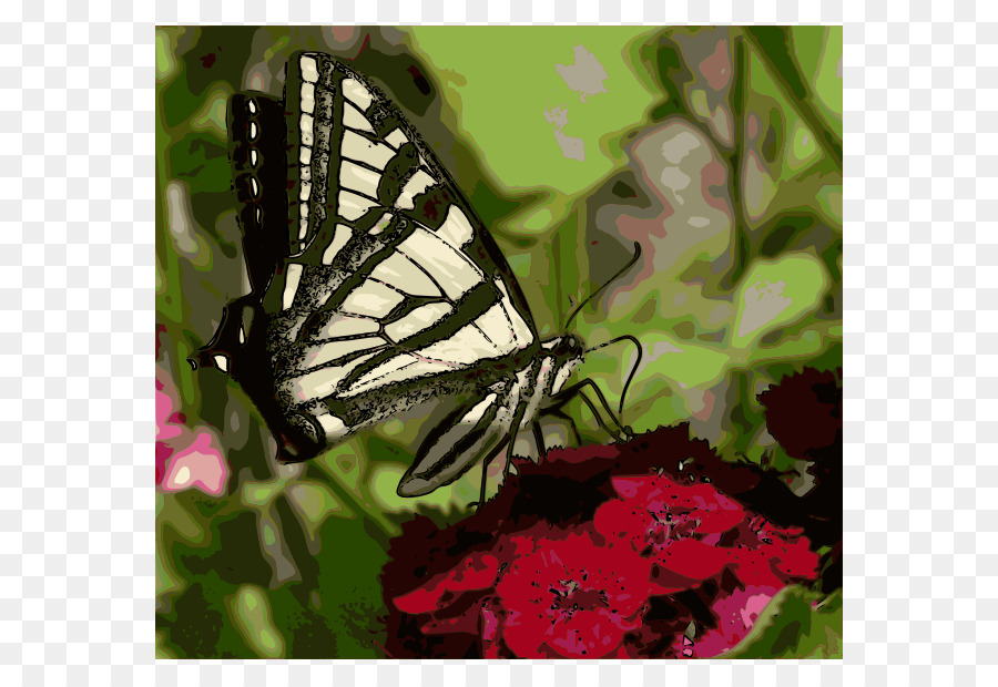 Borboleta，Flor PNG