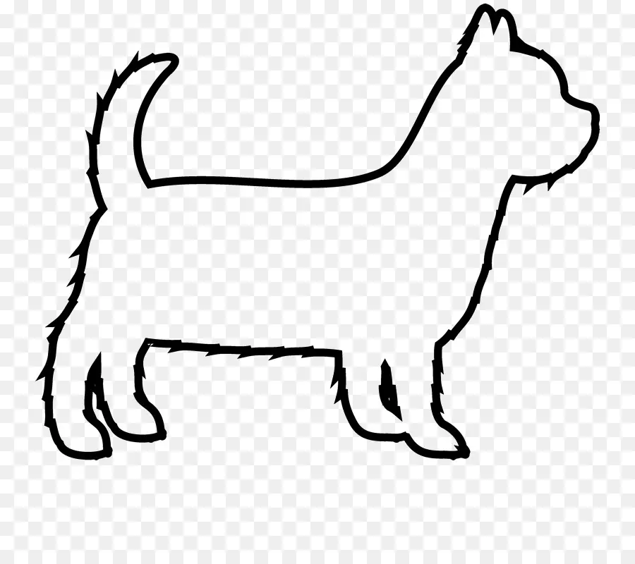 Bigodes，Yorkshire Terrier PNG