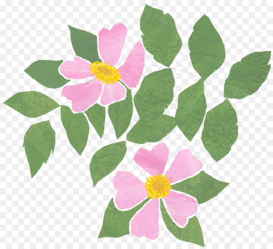 Design Floral，Rosa M PNG