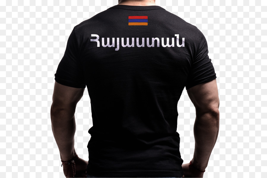 Tshirt，Vestuário PNG
