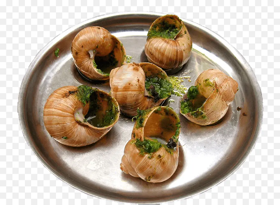 Escargot，Cozinha Francesa PNG