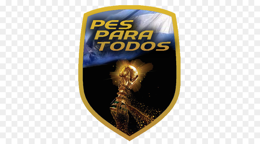 Copa Do Mundo De 2010，Copa Do Mundo De 2006 PNG