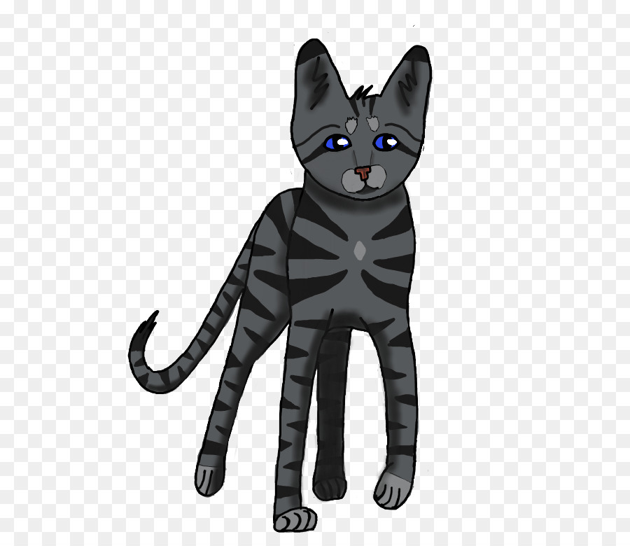 Gato Preto，Gatinho PNG