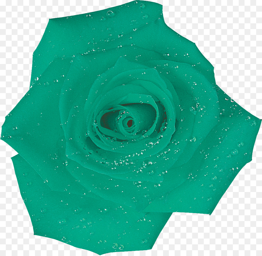 Rosa Verde，Rosa PNG