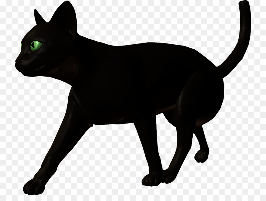 Gato Preto，Bombay Gato PNG