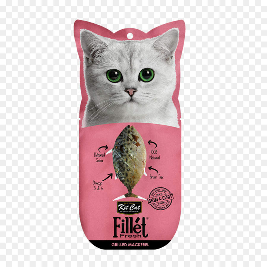 Gato，Comida De Gato PNG