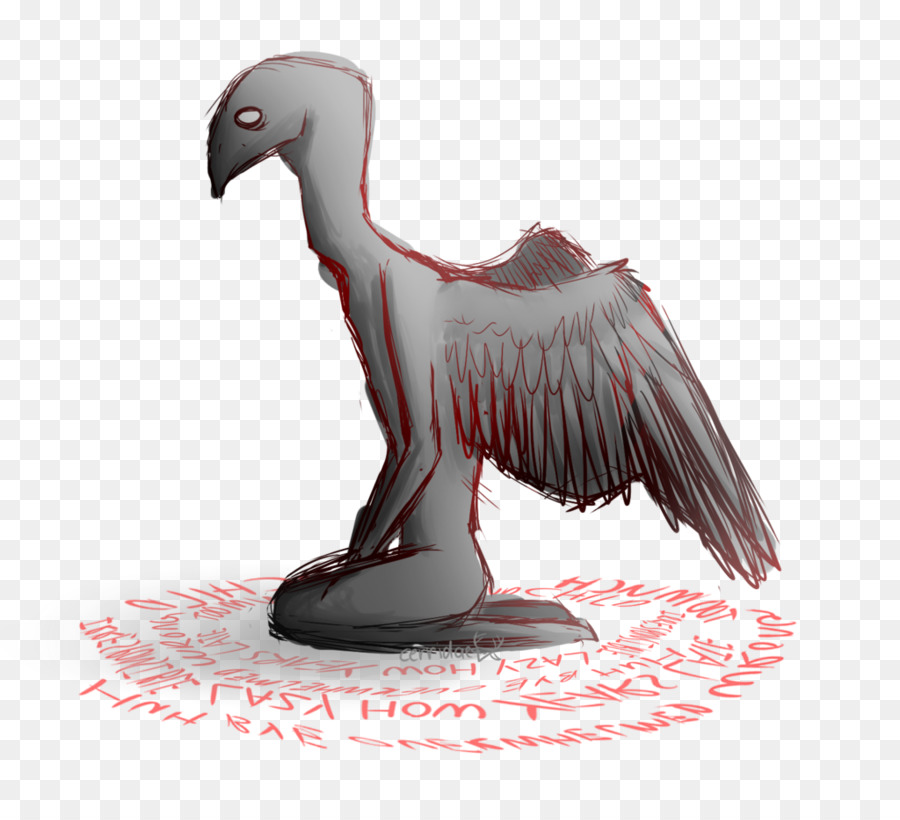 Bico，Aves PNG