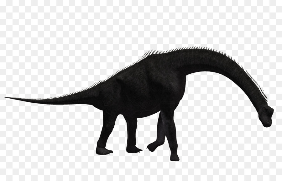 Rhamphorhynchus，Dinossauro PNG